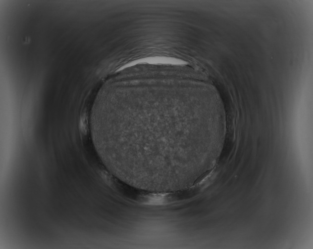 X0000087010090200705071534