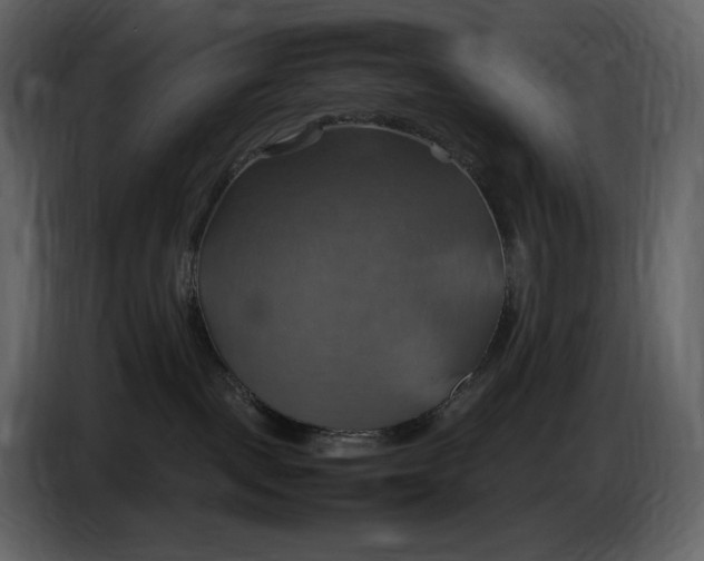 X0000087010093200705071535