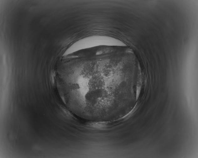 X0000087010094200705071535