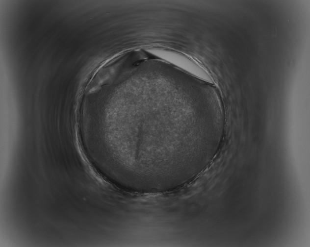 X0000087010097200705071534