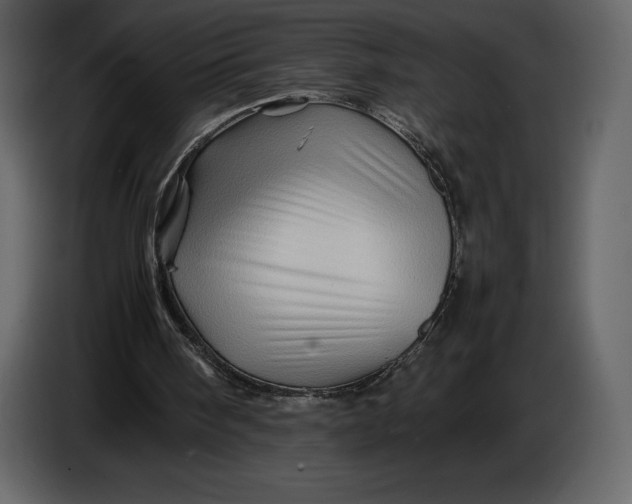 X0000087010098200705071534