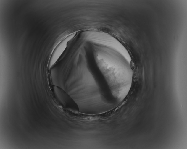 X0000087010099200705071534