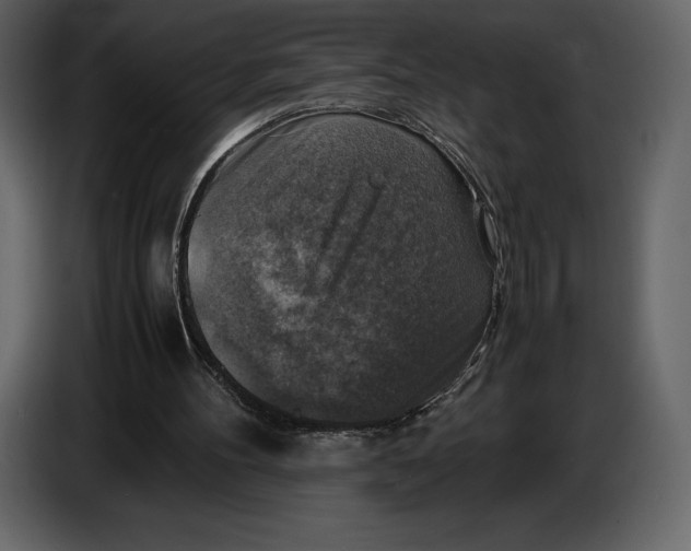 X0000087010100200705071534