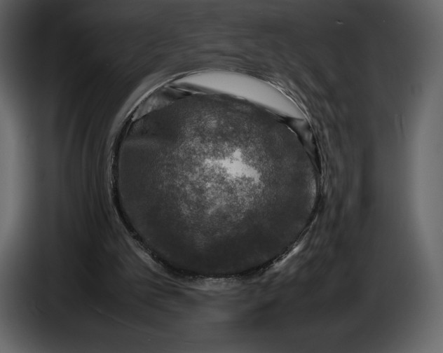 X0000087010101200705071534