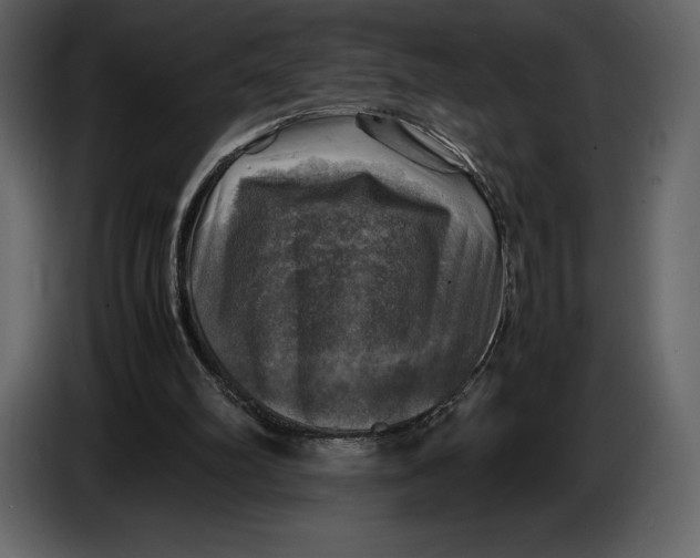 X0000087010102200705071534