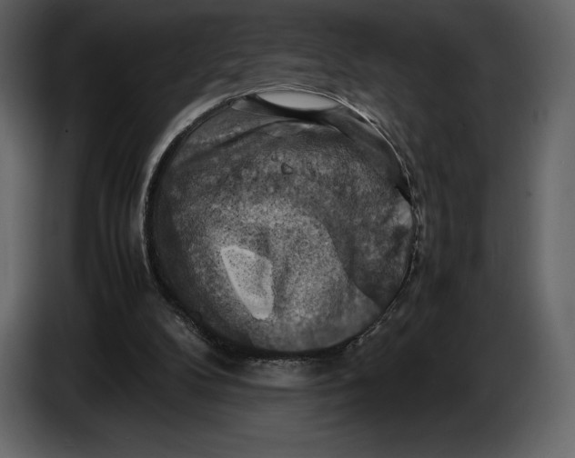 X0000087010104200705071534