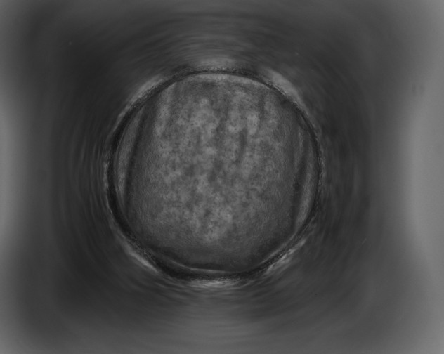 X0000087010106200705071534