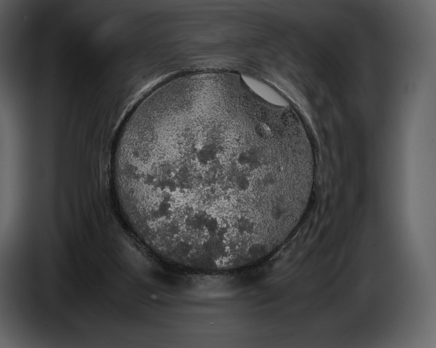 X0000087010107200705071534