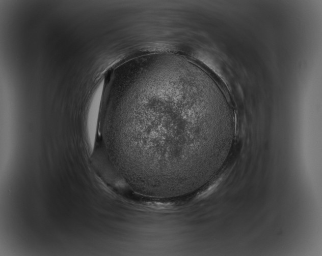 X0000087010109200705071534