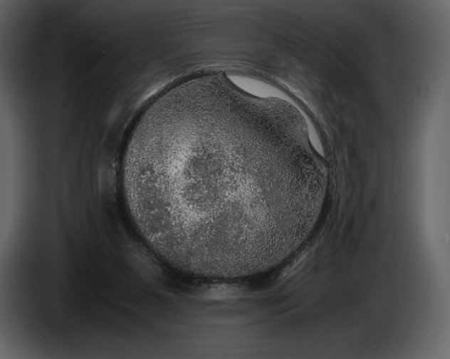 X0000087010111200705071534