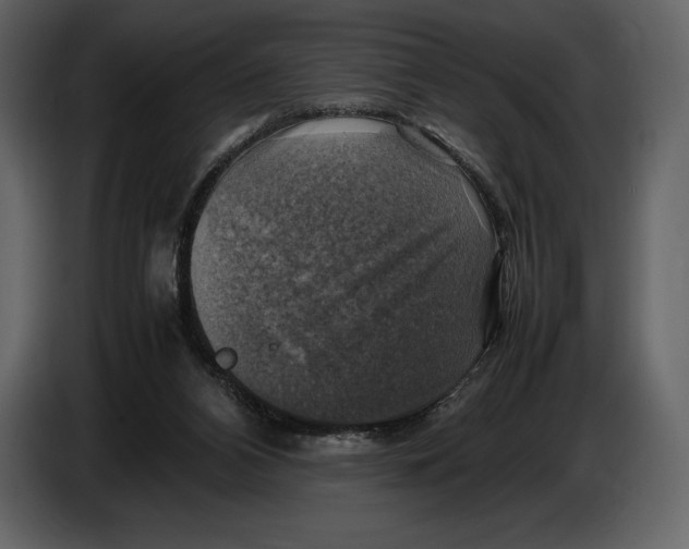 X0000087010112200705071534