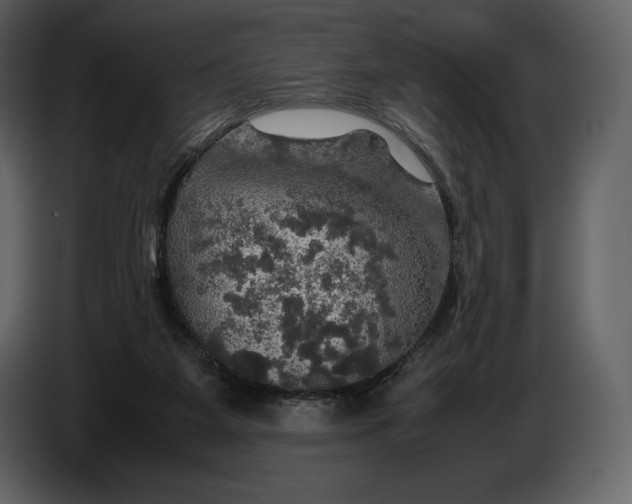 X0000087010115200705071534