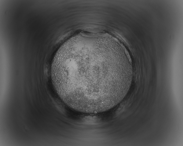 X0000087010119200705071534