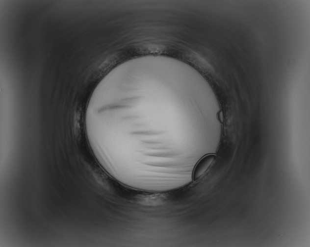 X0000087010122200705071534