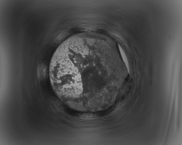 X0000087010123200705071534