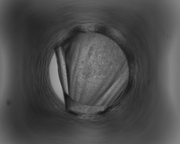 X0000087010125200705071534