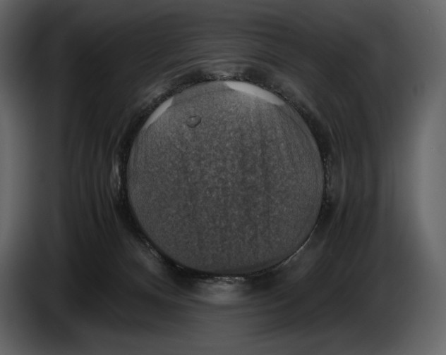 X0000087010128200705071534