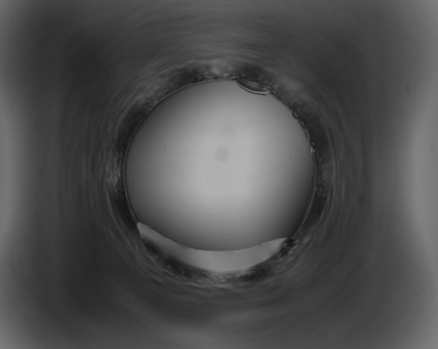 X0000087010129200705071534