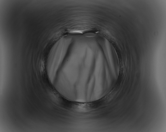 X0000087010130200705071534