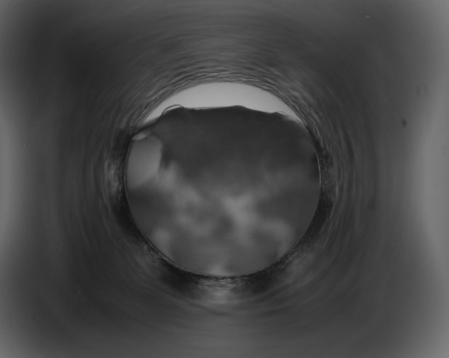 X0000087010131200705071534