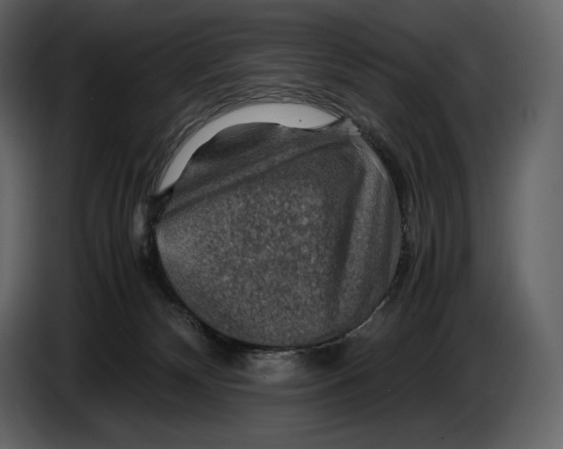 X0000087010132200705071533