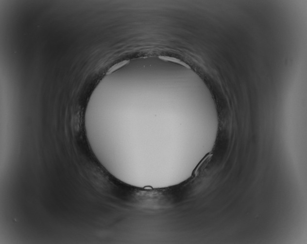 X0000087010133200705071533