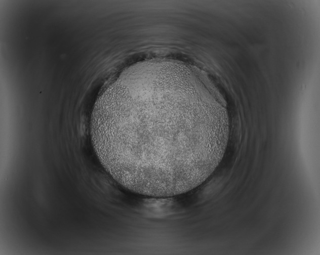 X0000087010135200705071533