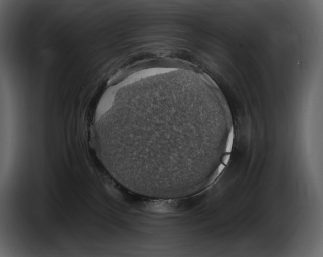 X0000087010136200705071533