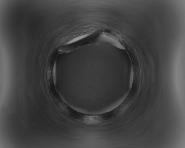 X0000087010137200705071533