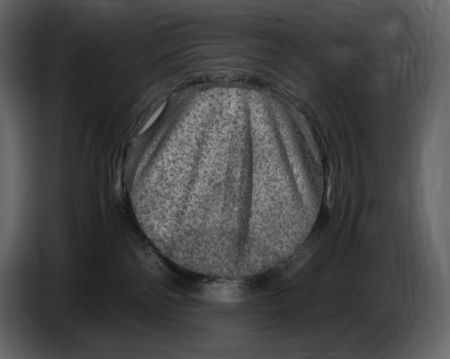 X0000087010138200705071533