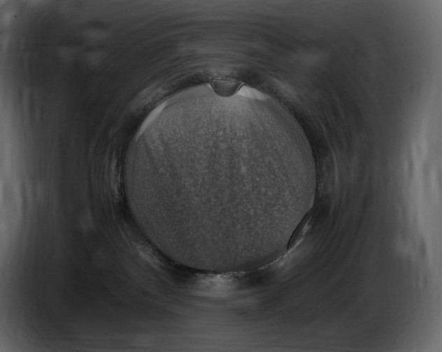 X0000087010140200705071533