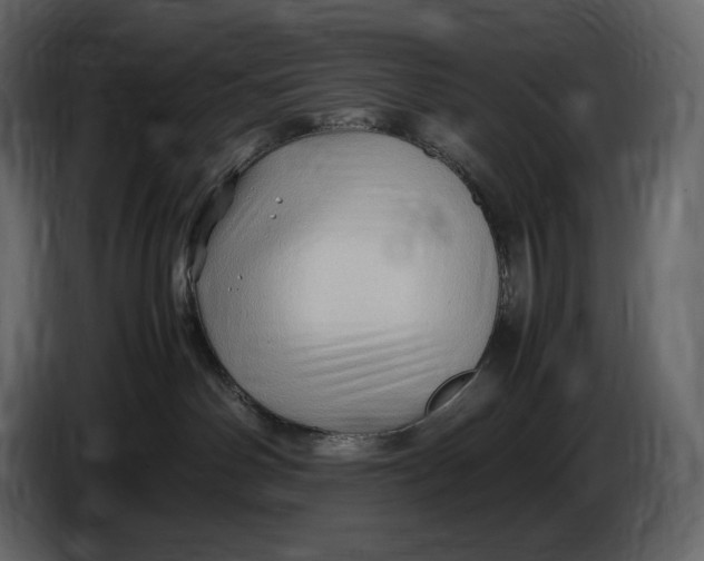 X0000087010142200705071533