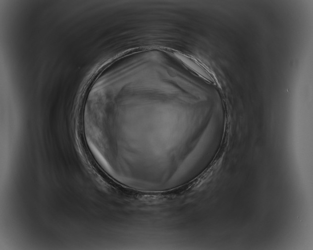 X0000087010145200705071533