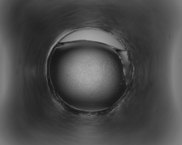 X0000087010148200705071533