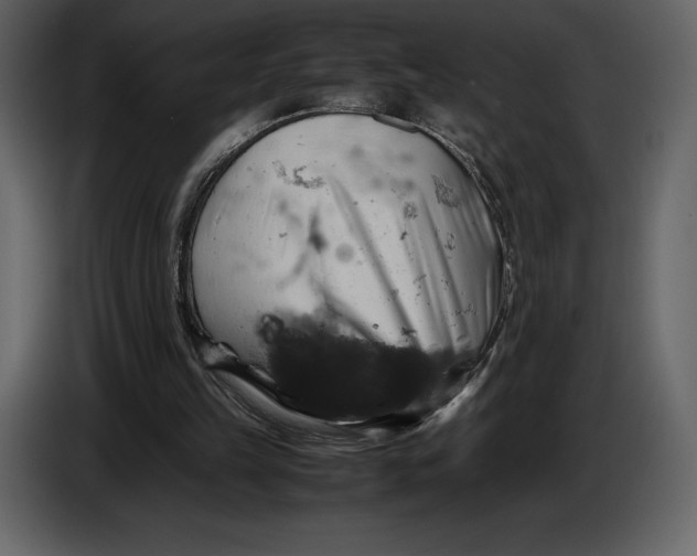 X0000087010149200705071533