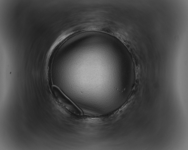 X0000087010150200705071533