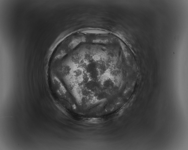 X0000087010151200705071533