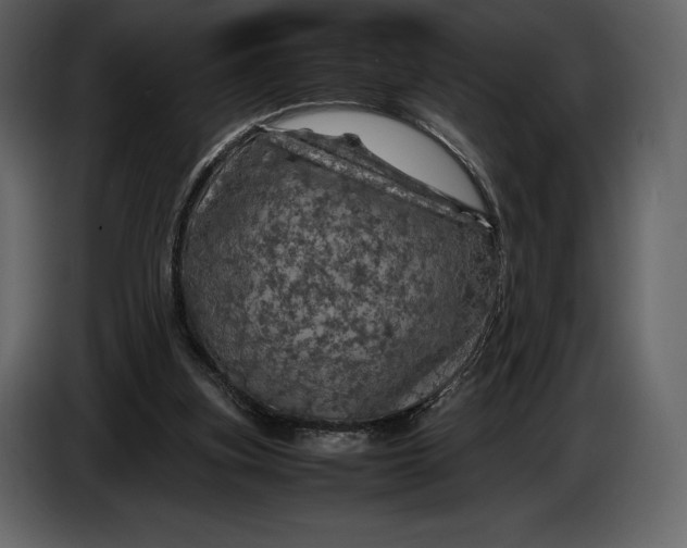 X0000087010155200705071533