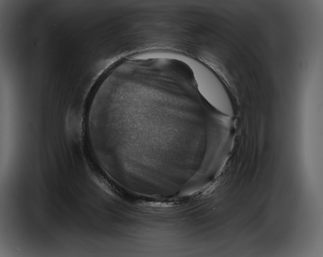 X0000087010156200705071533