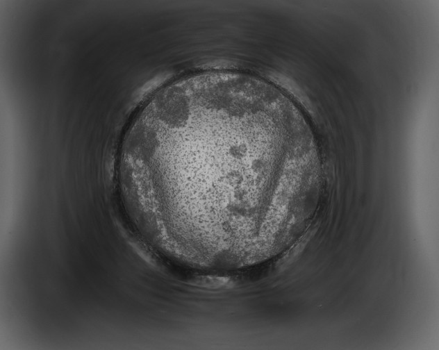 X0000087010159200705071533