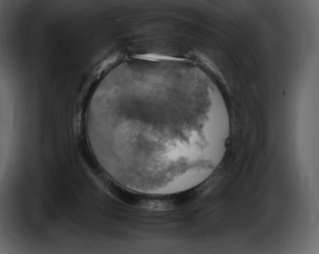 X0000087010163200705071533