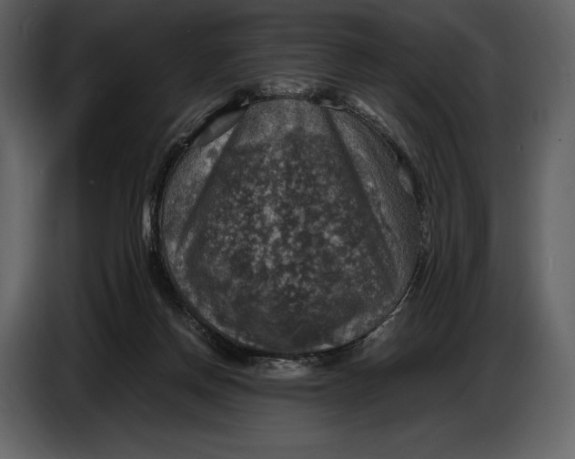 X0000087010166200705071533