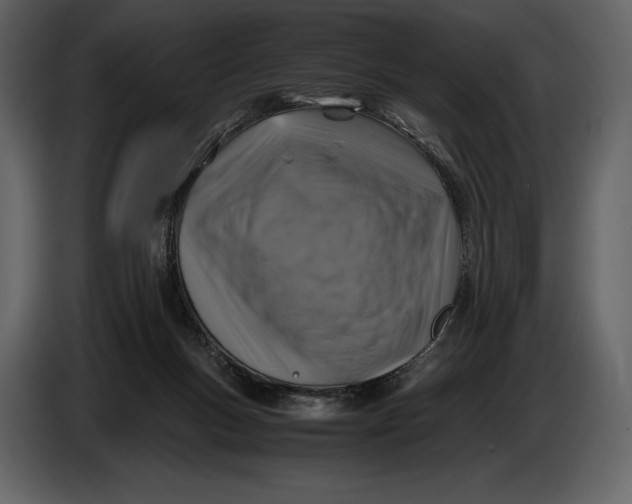 X0000087010167200705071533