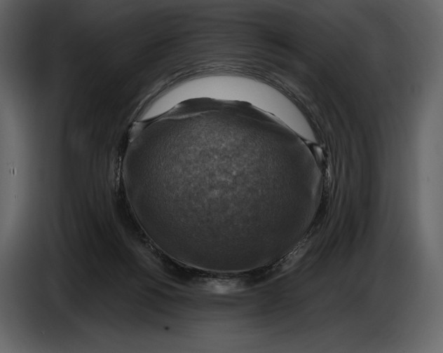 X0000087010168200705071533