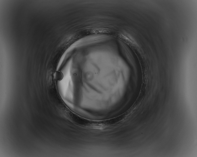 X0000087010169200705071533