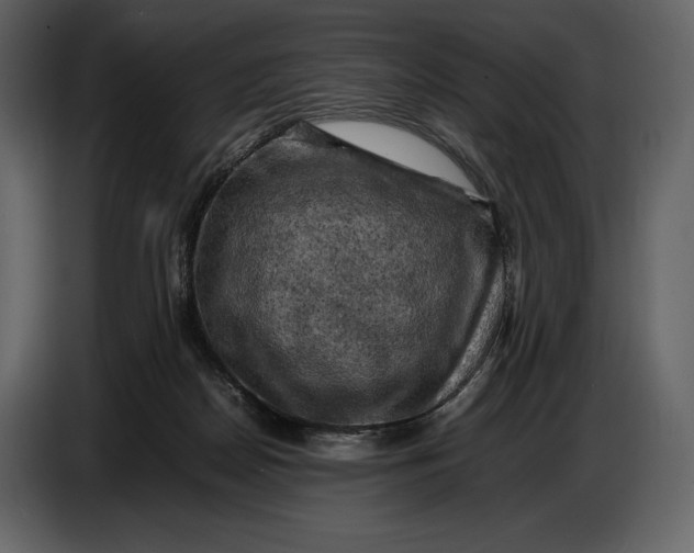 X0000087010170200705071533