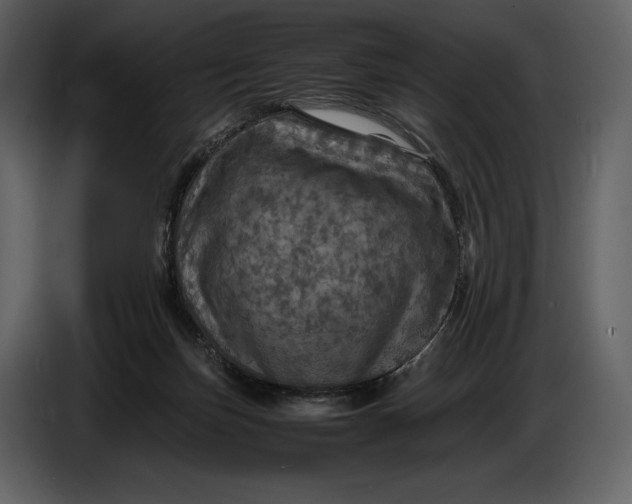 X0000087010171200705071533