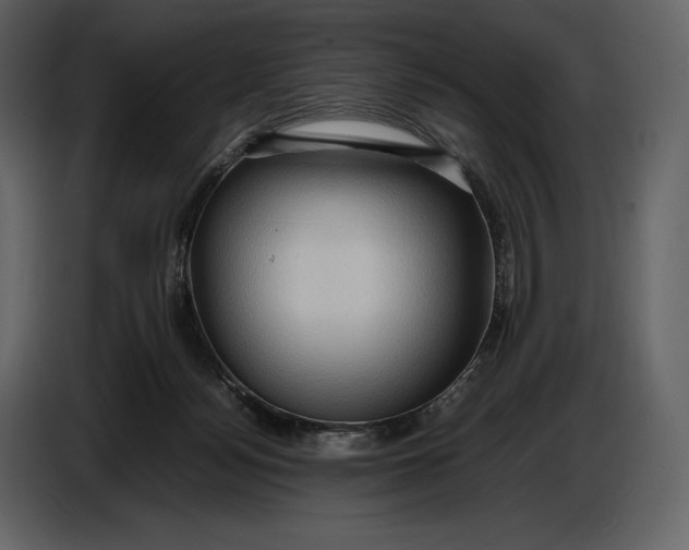 X0000087010172200705071533