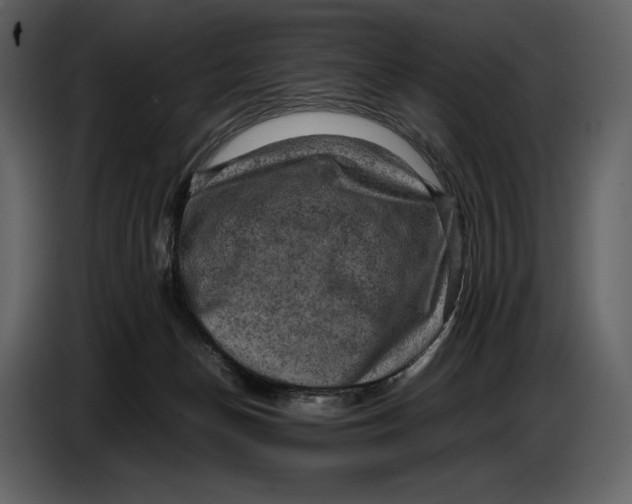 X0000087010174200705071533