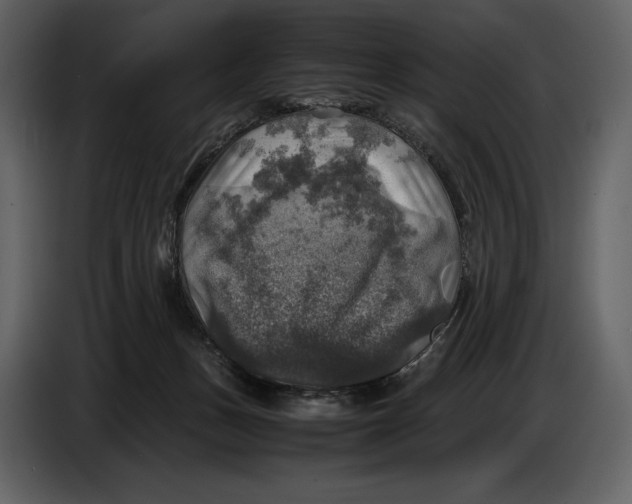 X0000087010175200705071533